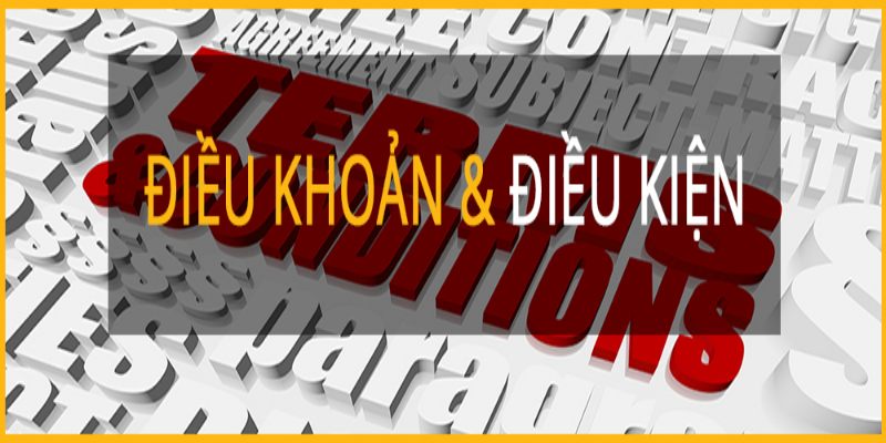 dieu khoan dieu kien bao ve quyen loi